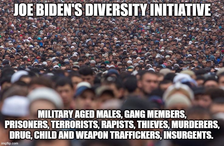 Migrant is a cover term | JOE BIDEN'S DIVERSITY INITIATIVE; MILITARY AGED MALES, GANG MEMBERS, PRISONERS, TERRORISTS, RAPISTS, THIEVES, MURDERERS, DRUG, CHILD AND WEAPON TRAFFICKERS, INSURGENTS. | image tagged in migrant wave,insurgency,invasion,america in decline,diversity,democrat war on america | made w/ Imgflip meme maker