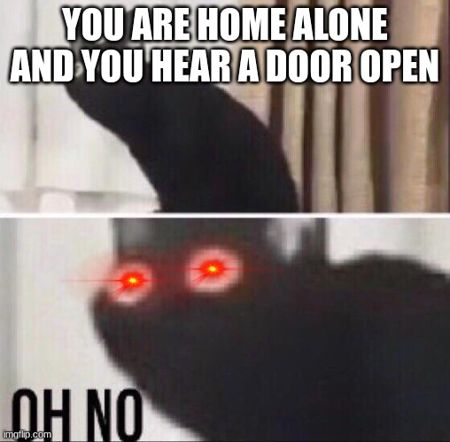 hmmmm | YOU ARE HOME ALONE AND YOU HEAR A DOOR OPEN | image tagged in oh no cat | made w/ Imgflip meme maker