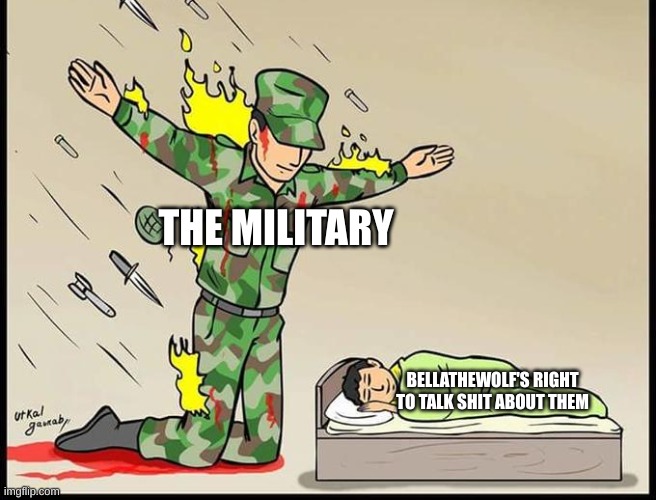 Silent Protector | THE MILITARY; BELLATHEWOLF'S RIGHT TO TALK SHIT ABOUT THEM | image tagged in silent protector | made w/ Imgflip meme maker