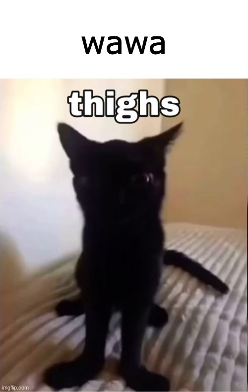 we on good terms now :) | wawa | made w/ Imgflip meme maker