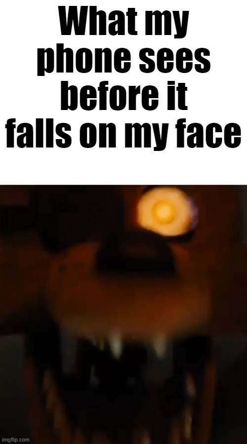 Lol | What my phone sees before it falls on my face | image tagged in fnaf,five nights at freddys,fnaf movie,foxy,fnaf foxy,five nights at freddys foxy | made w/ Imgflip meme maker