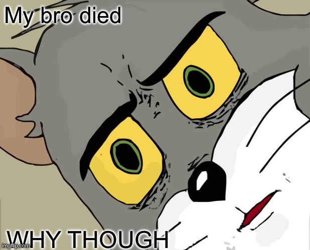 Unsettled Tom Meme | My bro died; WHY THOUGH | image tagged in memes,unsettled tom | made w/ Imgflip meme maker