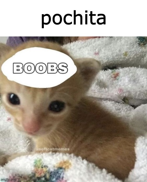 pochita | made w/ Imgflip meme maker