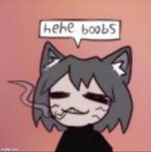 Hehe boobs | image tagged in hehe boobs | made w/ Imgflip meme maker