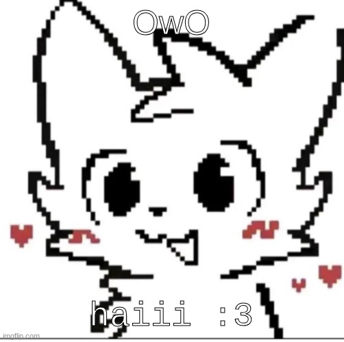 he got out. | OwO; haiii :3 | image tagged in silly cat | made w/ Imgflip meme maker