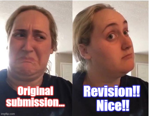 hmmm | Revision!!  Nice!! Original submission... | image tagged in hmmm | made w/ Imgflip meme maker