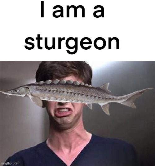 My brother made this. | image tagged in surgeon | made w/ Imgflip meme maker