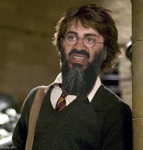 Harry Potter Osama Bin Laden | image tagged in harry potter osama bin laden | made w/ Imgflip meme maker