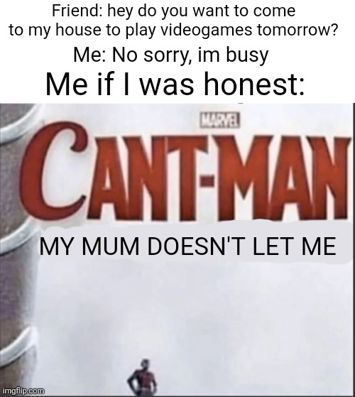 Fr | Friend: hey do you want to come to my house to play videogames tomorrow? Me: No sorry, im busy; Me if I was honest:; MY MUM DOESN'T LET ME | image tagged in can't man blank,memes,friends,mum,relatable,funny | made w/ Imgflip meme maker