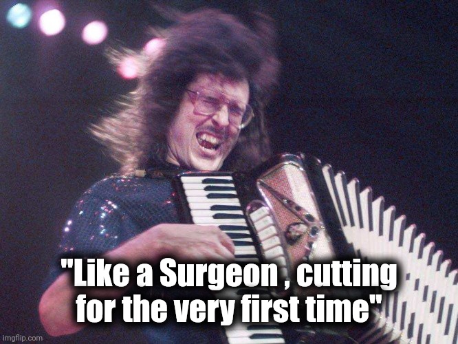Weird Al Accordion | "Like a Surgeon , cutting for the very first time" | image tagged in weird al accordion | made w/ Imgflip meme maker