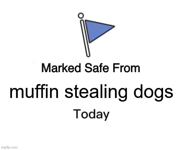 my dog stole my muffin a few hours ago | muffin stealing dogs | image tagged in memes,marked safe from,dogs | made w/ Imgflip meme maker