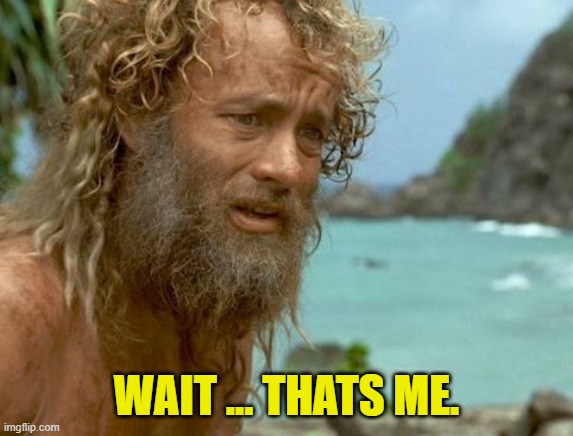 castaway | WAIT ... THATS ME. | image tagged in castaway | made w/ Imgflip meme maker