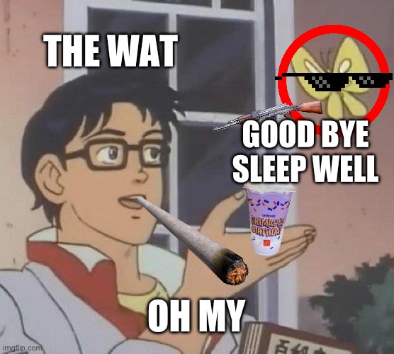 Is This A Pigeon Meme | THE WAT; GOOD BYE SLEEP WELL; OH MY | image tagged in memes,is this a pigeon | made w/ Imgflip meme maker