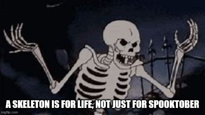 annoyed skeleton | A SKELETON IS FOR LIFE, NOT JUST FOR SPOOKTOBER | image tagged in annoyed skeleton | made w/ Imgflip meme maker