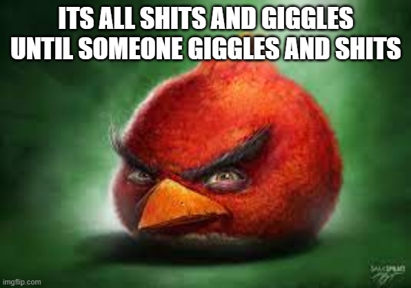 Realistic Red Angry Birds | ITS ALL SHITS AND GIGGLES UNTIL SOMEONE GIGGLES AND SHITS | image tagged in realistic red angry birds | made w/ Imgflip meme maker