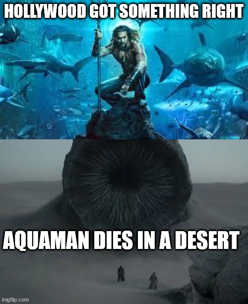 Aquaman Duncan | HOLLYWOOD GOT SOMETHING RIGHT; AQUAMAN DIES IN A DESERT | image tagged in aquaman meme,dune,funny memes,funny,fun,desert | made w/ Imgflip meme maker