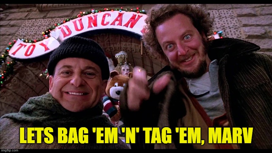 Home alone hiya pal | LETS BAG 'EM 'N' TAG 'EM, MARV | image tagged in home alone hiya pal | made w/ Imgflip meme maker