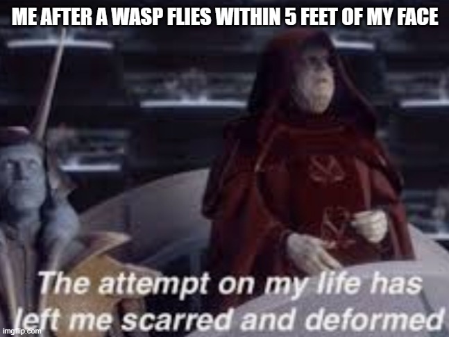 The attempt on my life has left me scarred and deformed | ME AFTER A WASP FLIES WITHIN 5 FEET OF MY FACE | image tagged in the attempt on my life has left me scarred and deformed | made w/ Imgflip meme maker