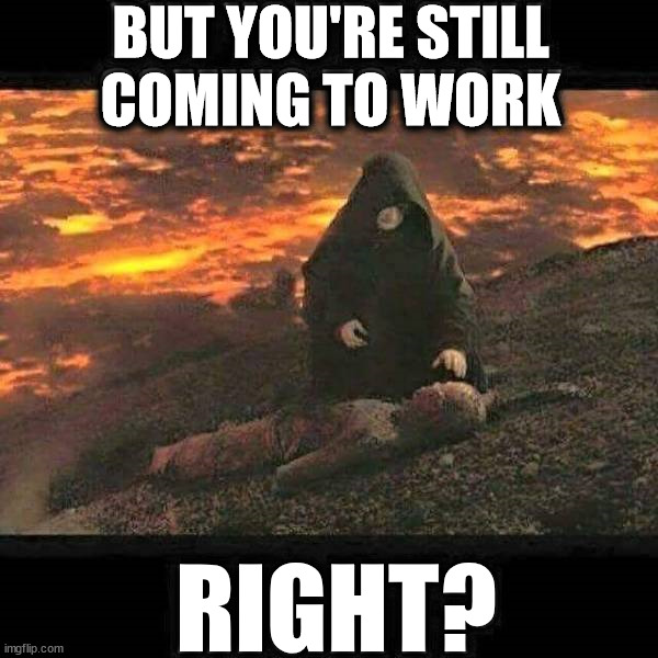 BUT YOU'RE STILL
COMING TO WORK RIGHT? | image tagged in starwars | made w/ Imgflip meme maker