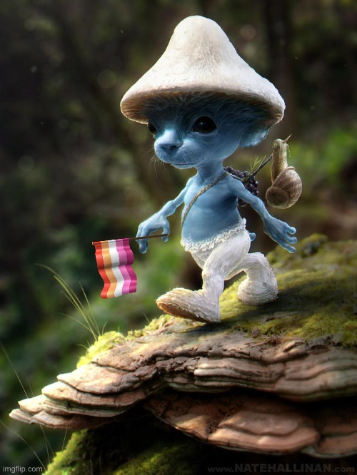 Smurf cat holding lesbian flag | image tagged in smurf | made w/ Imgflip meme maker