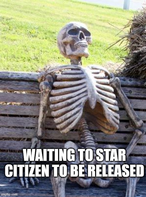 They will release the game by the end of the century | WAITING TO STAR CITIZEN TO BE RELEASED | image tagged in memes,waiting skeleton,video games,videogames,star citizen | made w/ Imgflip meme maker