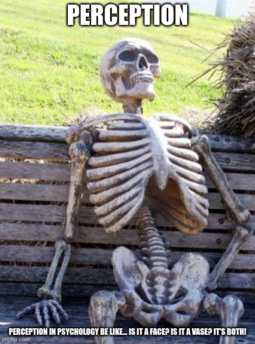 Waiting Skeleton | PERCEPTION; PERCEPTION IN PSYCHOLOGY BE LIKE... IS IT A FACE? IS IT A VASE? IT'S BOTH! | image tagged in memes,waiting skeleton | made w/ Imgflip meme maker