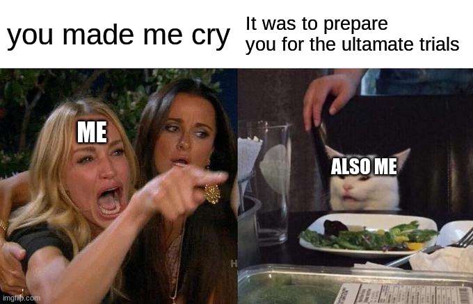 it hurts do | you made me cry; It was to prepare you for the ultamate trials; ME; ALSO ME | image tagged in memes,woman yelling at cat | made w/ Imgflip meme maker