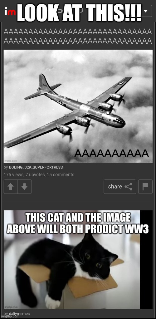 FR THO | LOOK AT THIS!!! | image tagged in ww3,airplane,cats,funny memes,perfection | made w/ Imgflip meme maker
