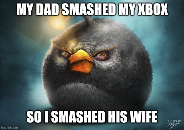 angry birds bomb | MY DAD SMASHED MY XBOX; SO I SMASHED HIS WIFE | image tagged in angry birds bomb | made w/ Imgflip meme maker