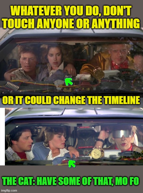 WHATEVER YOU DO, DON'T TOUCH ANYONE OR ANYTHING OR IT COULD CHANGE THE TIMELINE THE CAT: HAVE SOME OF THAT, MO FO | image tagged in back to the future roads,where we're going doc brown back to the future | made w/ Imgflip meme maker