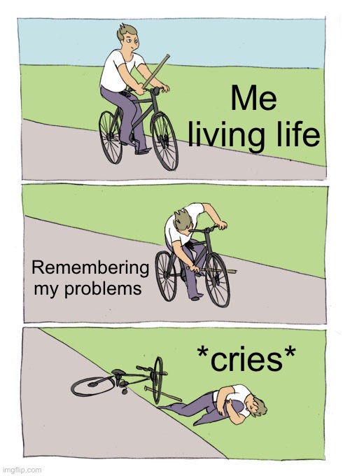 Bike Fall Meme | Me living life; Remembering my problems; *cries* | image tagged in memes,bike fall | made w/ Imgflip meme maker