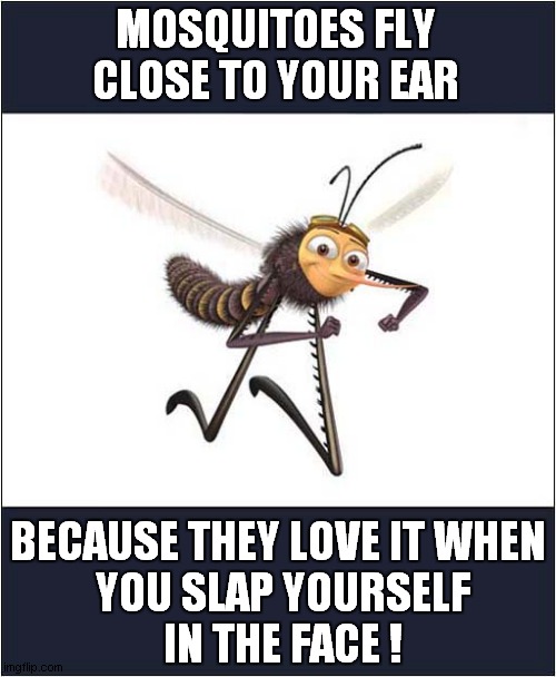 Meeeeeeeeeeeeeeeeeeeee ! | MOSQUITOES FLY CLOSE TO YOUR EAR; BECAUSE THEY LOVE IT WHEN
 YOU SLAP YOURSELF
 IN THE FACE ! | image tagged in mosquitoes,slap,face | made w/ Imgflip meme maker