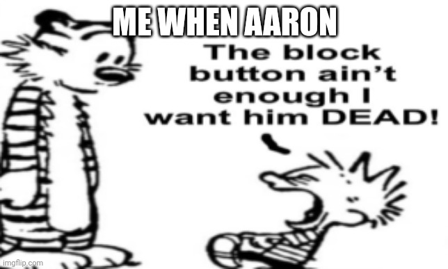 Flat the block button ain't enough | ME WHEN AARON | image tagged in flat the block button ain't enough | made w/ Imgflip meme maker
