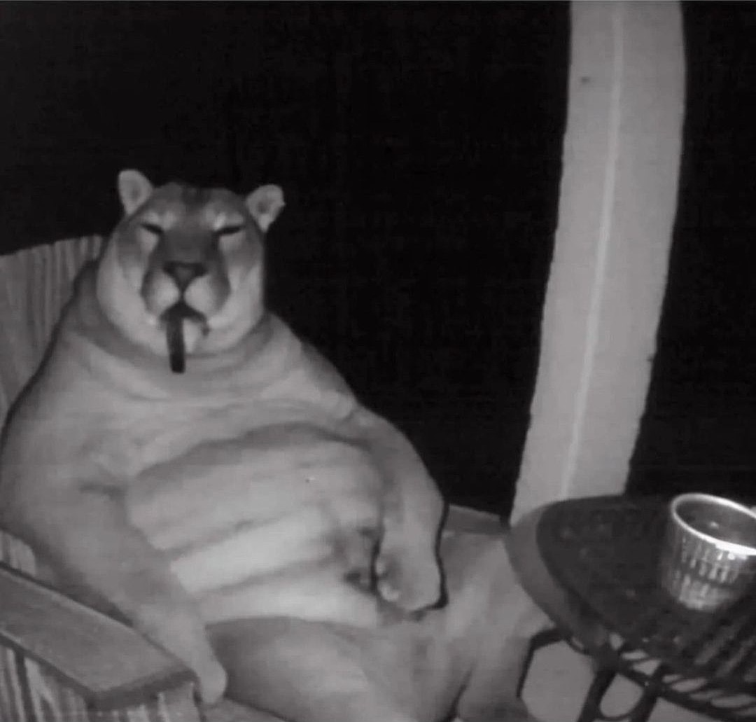 cougar smoking a cigar Blank Meme Template