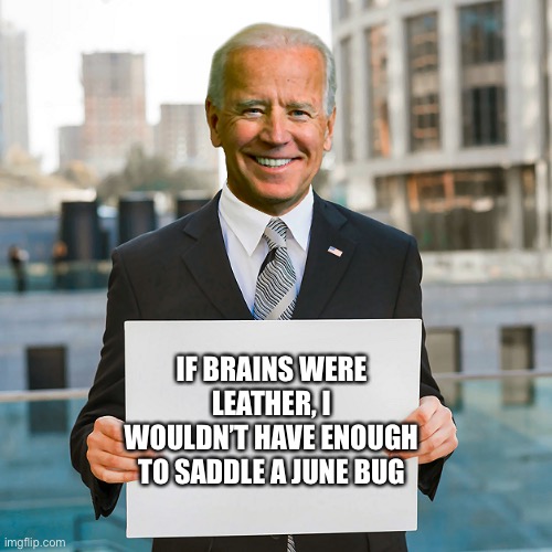 Biden Meme | IF BRAINS WERE LEATHER, I WOULDN’T HAVE ENOUGH TO SADDLE A JUNE BUG | image tagged in joe biden blank sign,funny,politics,meme | made w/ Imgflip meme maker