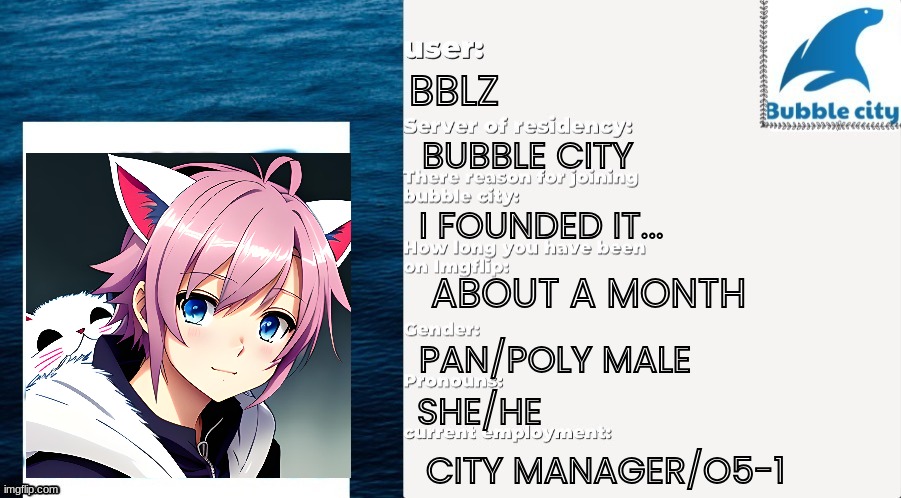 BBLZ's Passport | image tagged in official bubble city passport | made w/ Imgflip meme maker
