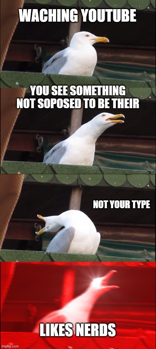 Inhaling Seagull | WACHING YOUTUBE; YOU SEE SOMETHING NOT SOPOSED TO BE THEIR; NOT YOUR TYPE; LIKES NERDS | image tagged in memes,inhaling seagull | made w/ Imgflip meme maker