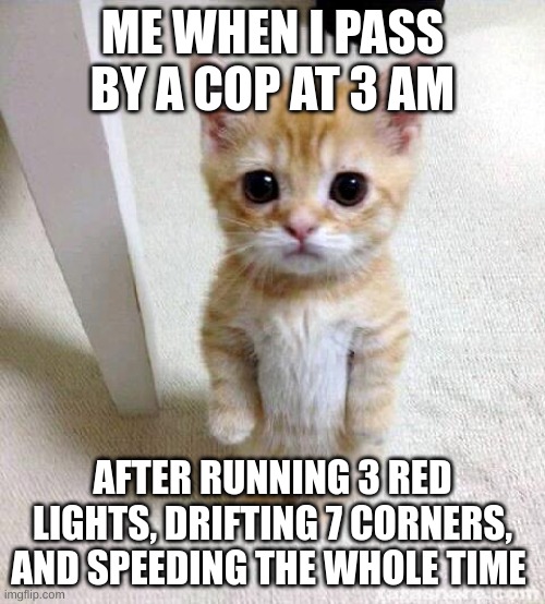 In Need For Speed, of course ;) | ME WHEN I PASS BY A COP AT 3 AM; AFTER RUNNING 3 RED LIGHTS, DRIFTING 7 CORNERS, AND SPEEDING THE WHOLE TIME | image tagged in memes,cute cat,funny memes,fun,funny,relatable | made w/ Imgflip meme maker