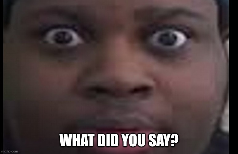 edp stare | WHAT DID YOU SAY? | image tagged in edp stare | made w/ Imgflip meme maker