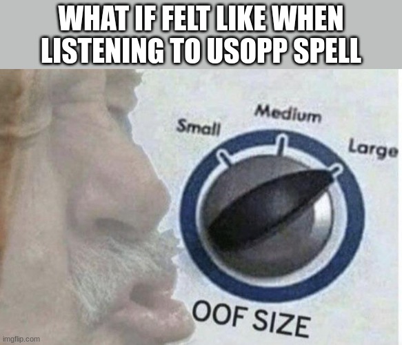 Very painful imagination. | WHAT IF FELT LIKE WHEN LISTENING TO USOPP SPELL | image tagged in oof size large | made w/ Imgflip meme maker