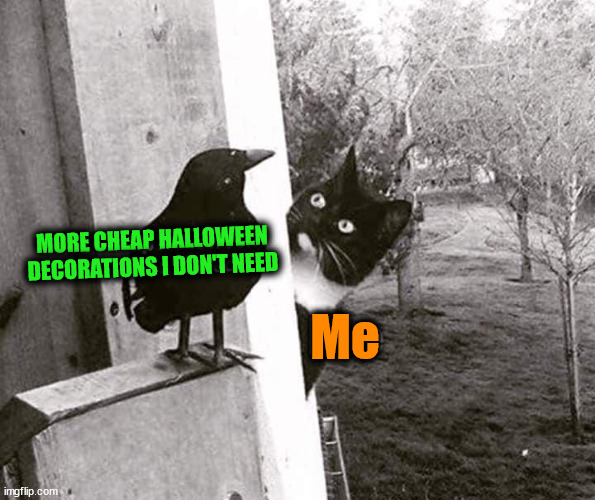 MORE CHEAP HALLOWEEN
DECORATIONS I DON'T NEED; Me | made w/ Imgflip meme maker