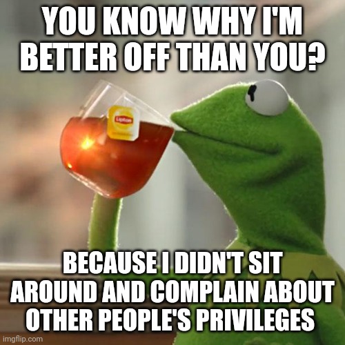 Stop complaining about what other people have and start working for what you don't have. | YOU KNOW WHY I'M BETTER OFF THAN YOU? BECAUSE I DIDN'T SIT AROUND AND COMPLAIN ABOUT OTHER PEOPLE'S PRIVILEGES | image tagged in memes,but that's none of my business,kermit the frog | made w/ Imgflip meme maker