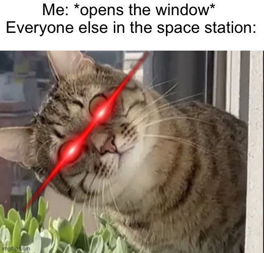 Surveillance Cat | Me: *opens the window* 
Everyone else in the space station: | image tagged in surveillance cat | made w/ Imgflip meme maker