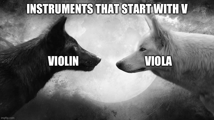 You have two wolves | INSTRUMENTS THAT START WITH V; VIOLIN                               VIOLA | image tagged in you have two wolves,violin,viola | made w/ Imgflip meme maker