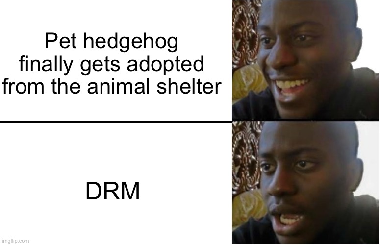 Disappointed Black Guy | Pet hedgehog finally gets adopted from the animal shelter; DRM | image tagged in disappointed black guy | made w/ Imgflip meme maker