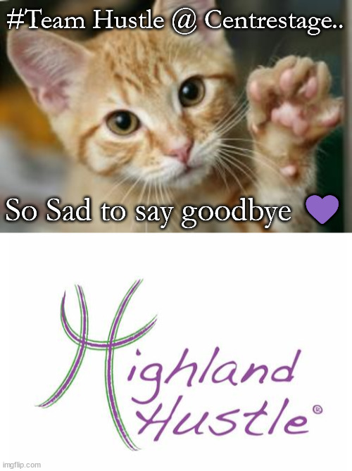 farewell team hustle | #Team Hustle @ Centrestage.. So Sad to say goodbye 💜 | image tagged in goodbye cat | made w/ Imgflip meme maker