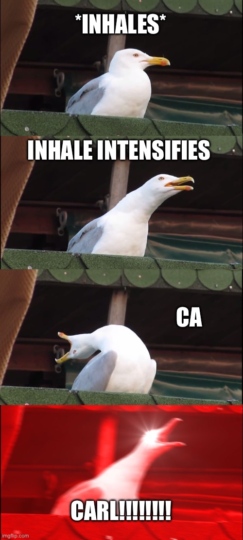 Inhaling Seagull | *INHALES*; INHALE INTENSIFIES; CA; CARL!!!!!!!! | image tagged in memes,inhaling seagull | made w/ Imgflip meme maker