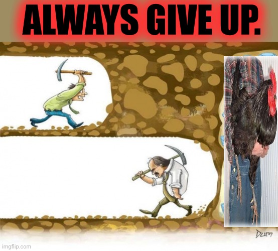 You should give up... now | ALWAYS GIVE UP. | image tagged in never give up,give up,big black rooster,stop it get some help | made w/ Imgflip meme maker