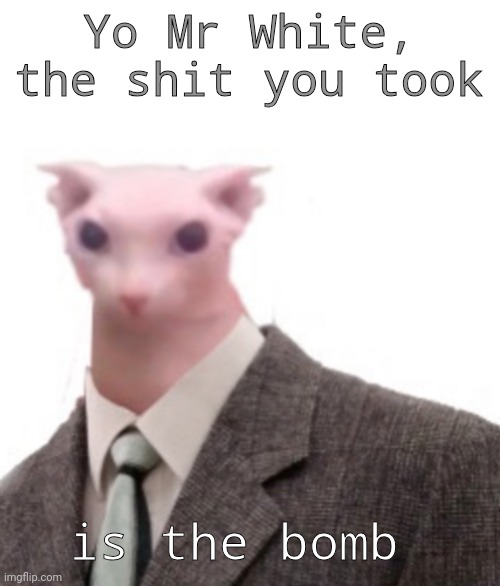 bingus | Yo Mr White, the shit you took is the bomb | image tagged in bingus | made w/ Imgflip meme maker