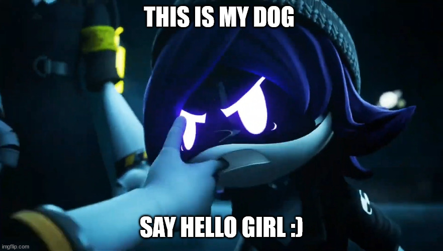 my doggo | THIS IS MY DOG; SAY HELLO GIRL :) | image tagged in uzi bites | made w/ Imgflip meme maker